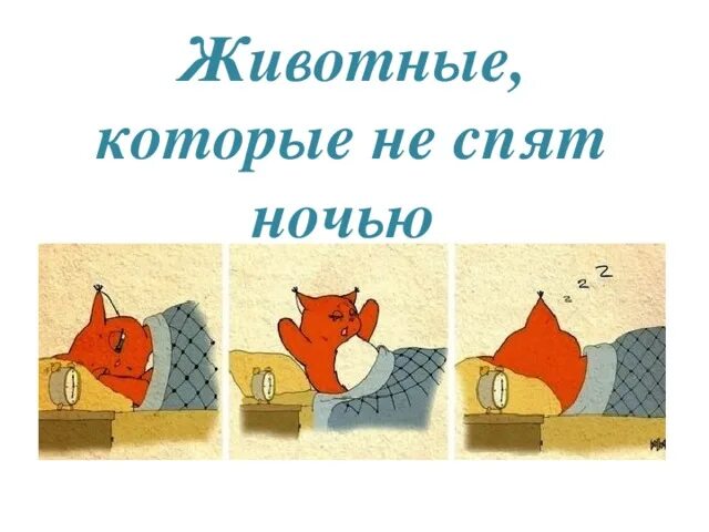 Что это мы ночью не спим. Животные которые спят ночью. животные которые не спят ночью окружающий мир 1 класс.