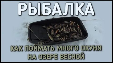 Некоторый поймать