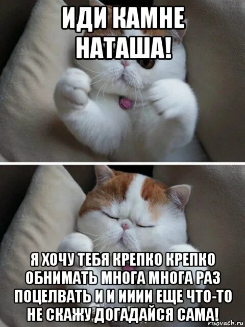 Я хочу тебя примерить иди ко мне
