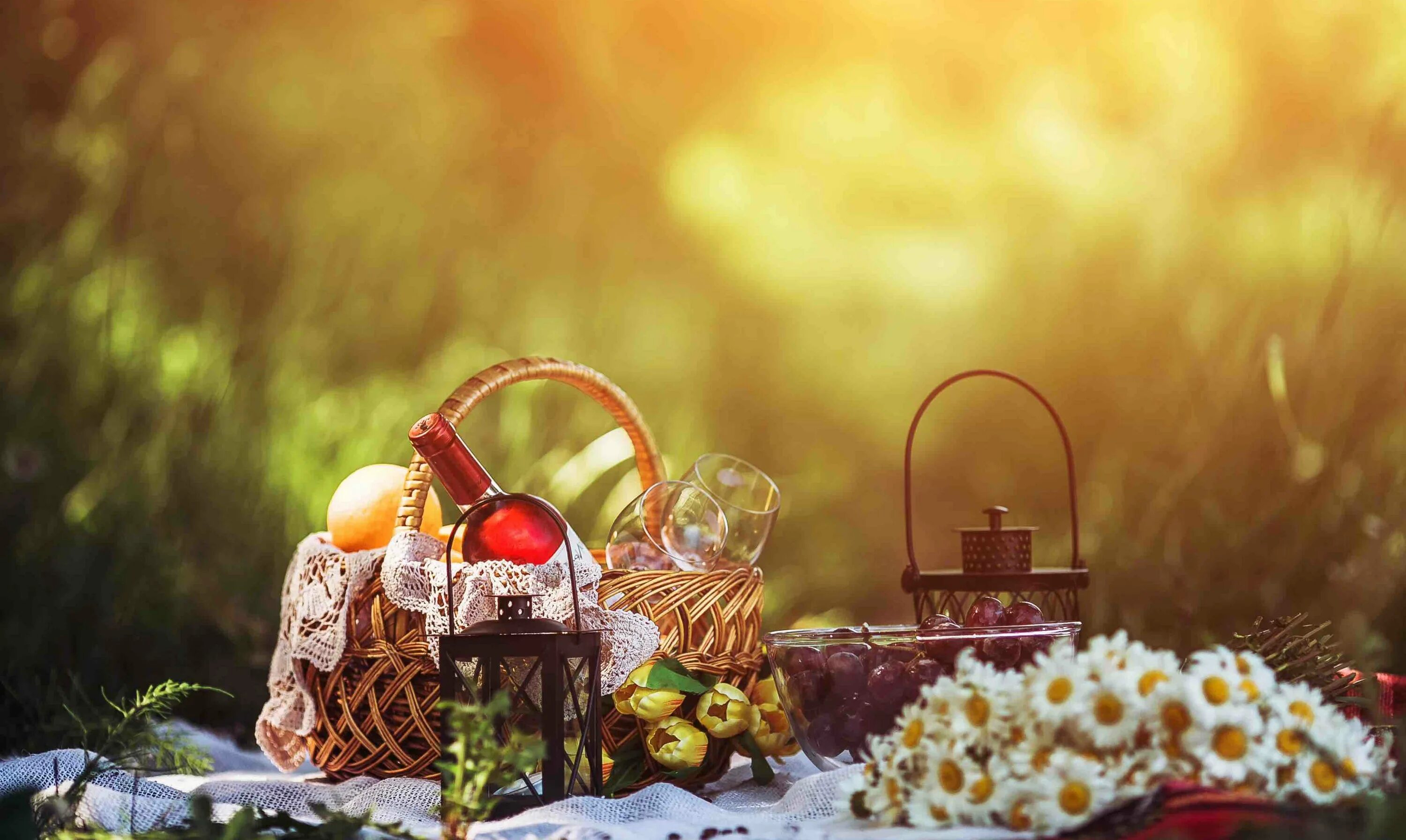 Пикник баннер. Picnic. Напитки для пикника. Piknik background. Картинка пикник пиво 1 мая.