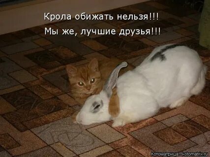 Почему нельзя обижать