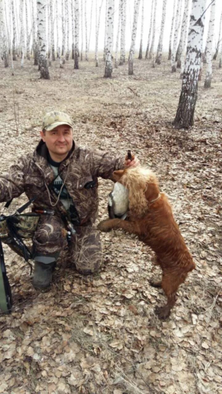 Сроки охоты 2022. Охота на гуся в тамбовской области 2021. Охота на гуся в воронежской области 2022. Охота на гуся в тамбовской области 2020. Сроки охоты 2024.