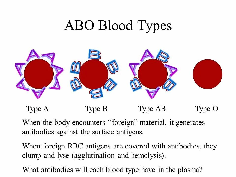 Blood types in english. Blood eng. Blood type 0. Ab blood type. Blood types.