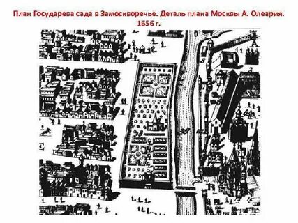 Века план