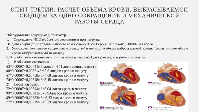 Подсчет сердечных сокращений человека название метода