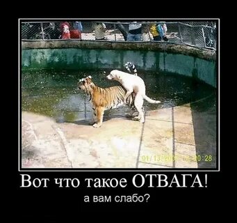 Неожиданно хорошо