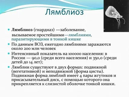 Лямблия название