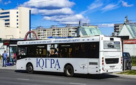 186б автобус