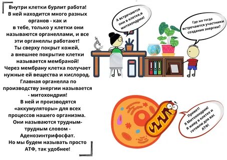 Бнту атф
