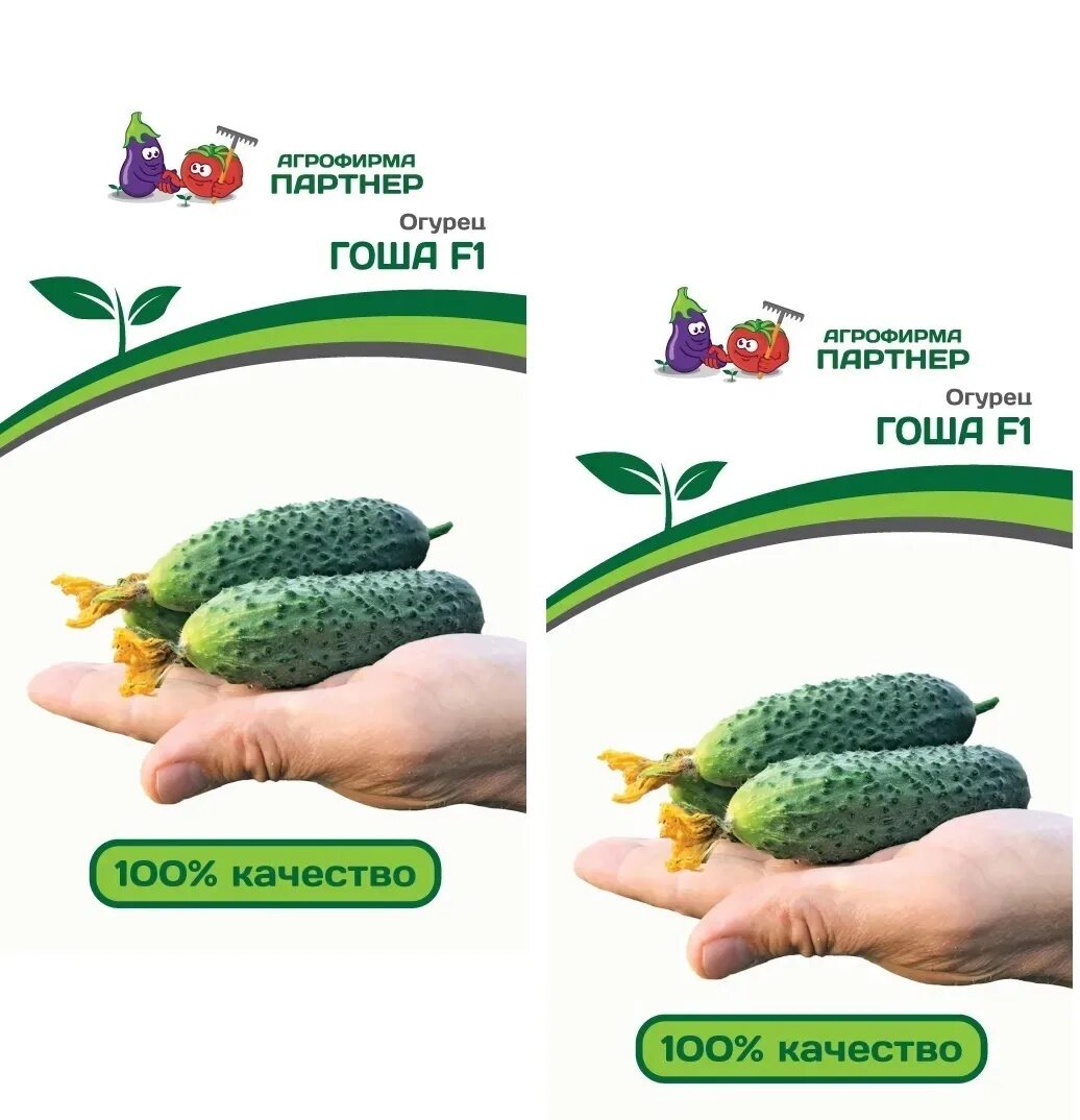 Огурцы гоша отзывы. Огурец гоша f1. Огурец гоша. Огурцы гоша отзывы. Огурцы герольд гоша.