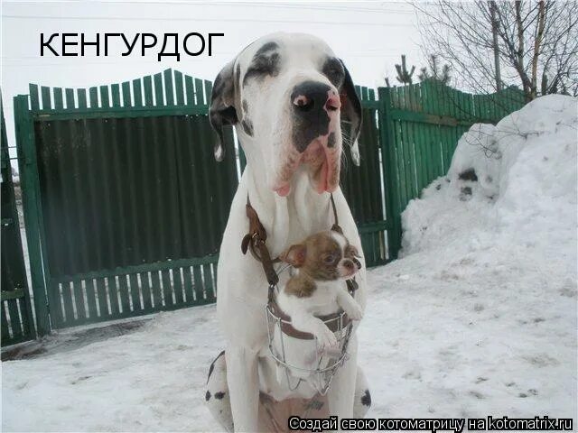 ни секунды покоя. спортивно-развлекательная программа «ни минуты покоя». спортивно-развлекательная программа «ни минуты покоя». ни секунды покоя. ни минуты покоя ни секунды покоя.