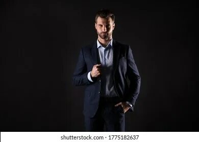 Mr partner