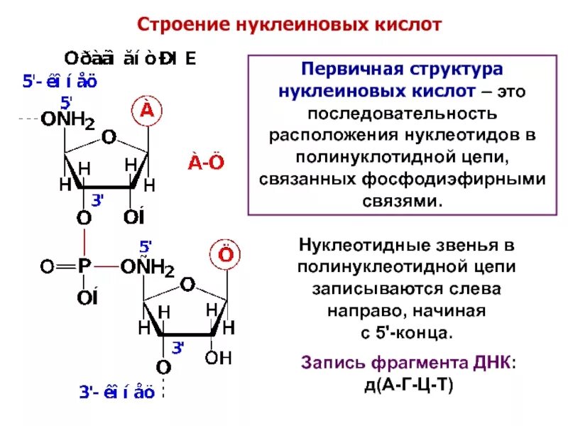 Цепь состоящая из многочисленных звеньев мономеров это. Цепь состоящая из многочисленных звеньев мономеров это