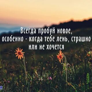 Пробуй новое каждый день