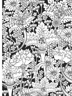 Midnight garden