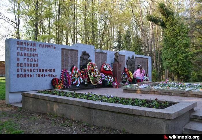 Над братской могиле. Памятники город дедовск. Братская могила чашниково. Над братской могиле. Памятники в алабушево.