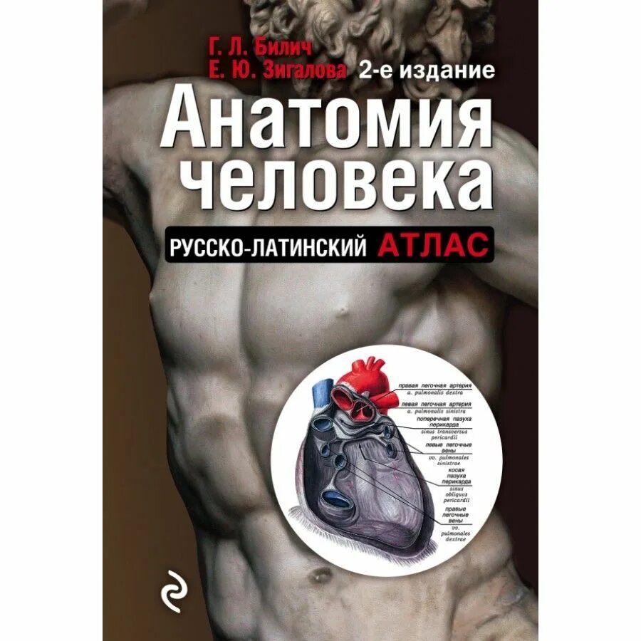 7 издание анатомии. Анатомия человека билич зигалова 2 издание. билич г.л., зигалова е.ю. &quot;анатомия человека: 2 издание&quot;. русско латинский атлас билич зигалова. анатомия билич зигалова.