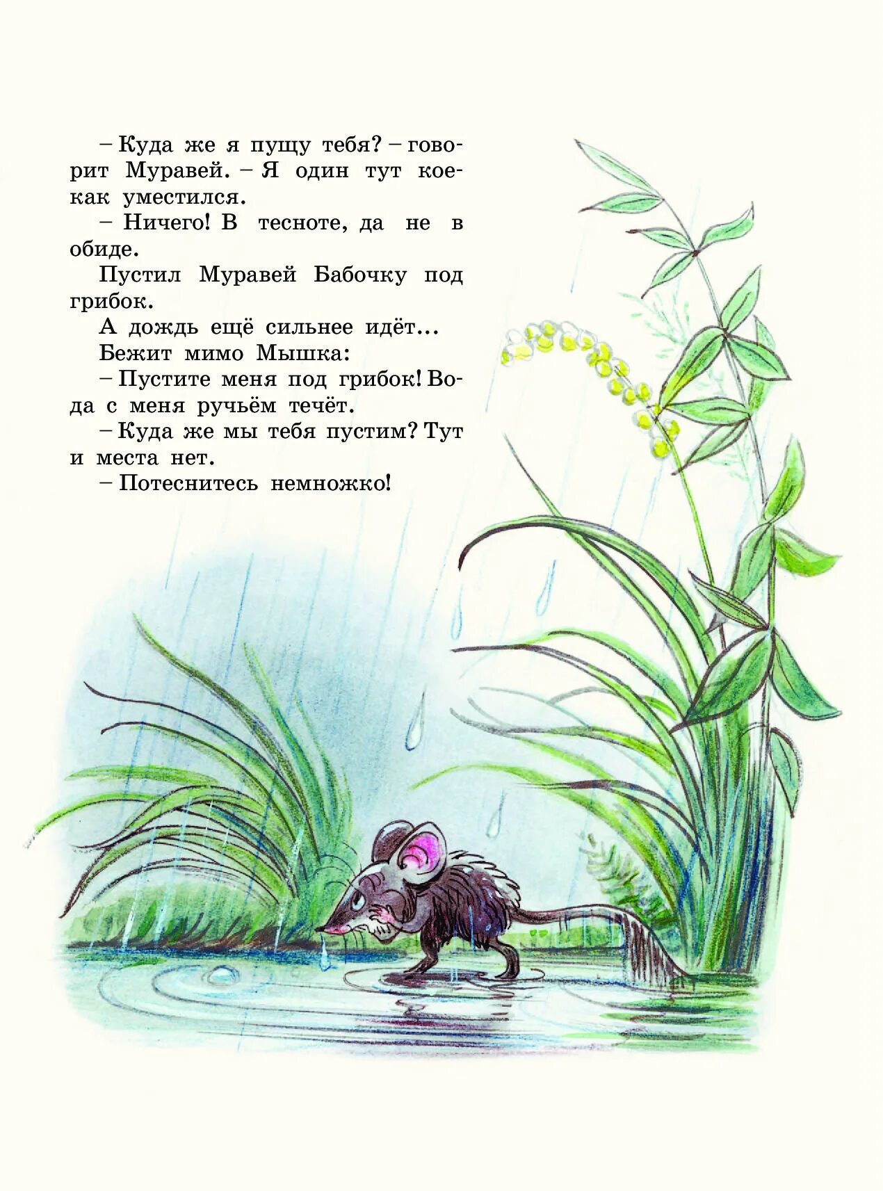 Сказка про дождь. "под грибом сказка". Разговор крапивы и сирени текст-сказка. Разговор дождика и цветка. Солнце в сказках.