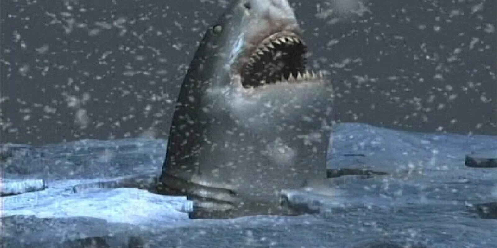 Акулы 3: мегалодон фильм 2002. Мегалодон фильм 2002 акула. Детеныш акулы мегалодон. Акулы мегалодон 2002. Самая большая акула в мире мегалодон.