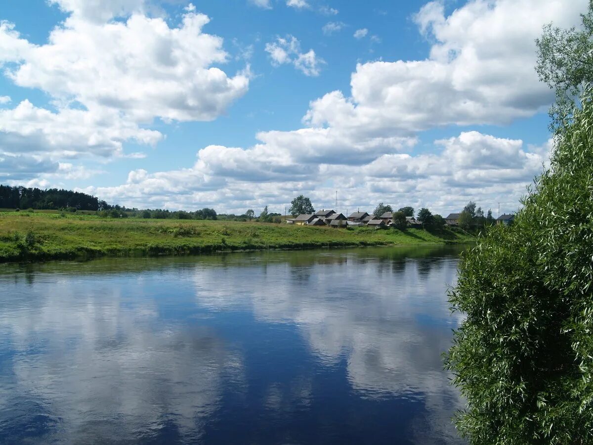 Река Мста. Река Маста Новгородская область. Река Мста Великий Новгород. Река Мста Удомля. Река мста новгородская область