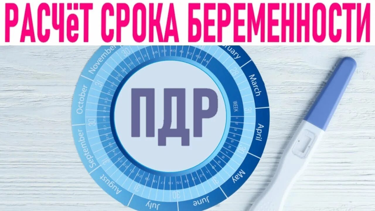 Как считать срок беременности после. Срок беременна рассчитать. предполагаемая дата родов. расчёт пдр по дате менструации. пдр по дате зачатия.