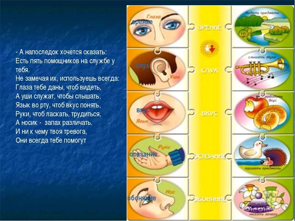 цель игры я знаю 5 названий. соблюдение правил безопасного поведения в общественных местах. правила 5 нет. усвоить правило. правило.