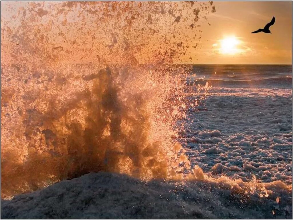 Кипящее море. Ветер на море. Море шторм солнце. Солнце после шторма. Волна и солнце.
