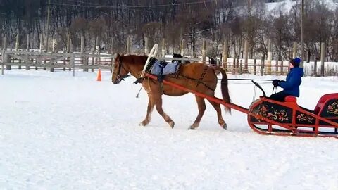 Ютуб сани