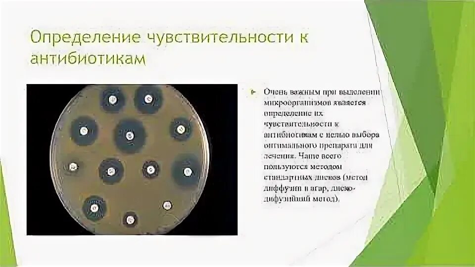 Метод фортнера. Диско диффузионный метод микробиология методика. диско-диффузионный метод определения чувствительности к антибиотику. диско-диффузионный метод определения чувствительности. диско диффузионный метод экстракты растений.
