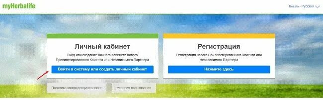 Mydelivery гербалайф личный кабинет