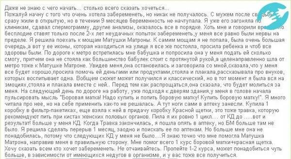 Просит помочь забеременеть. Как пить боровую матку чтобы забеременеть. Как пить боровую матку. Как правильно пить боровую матку. Можно ли забеременеть Боровой матки.