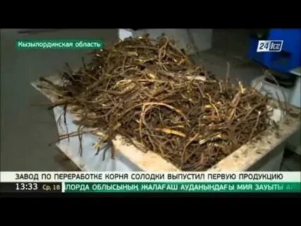Выпустили корень