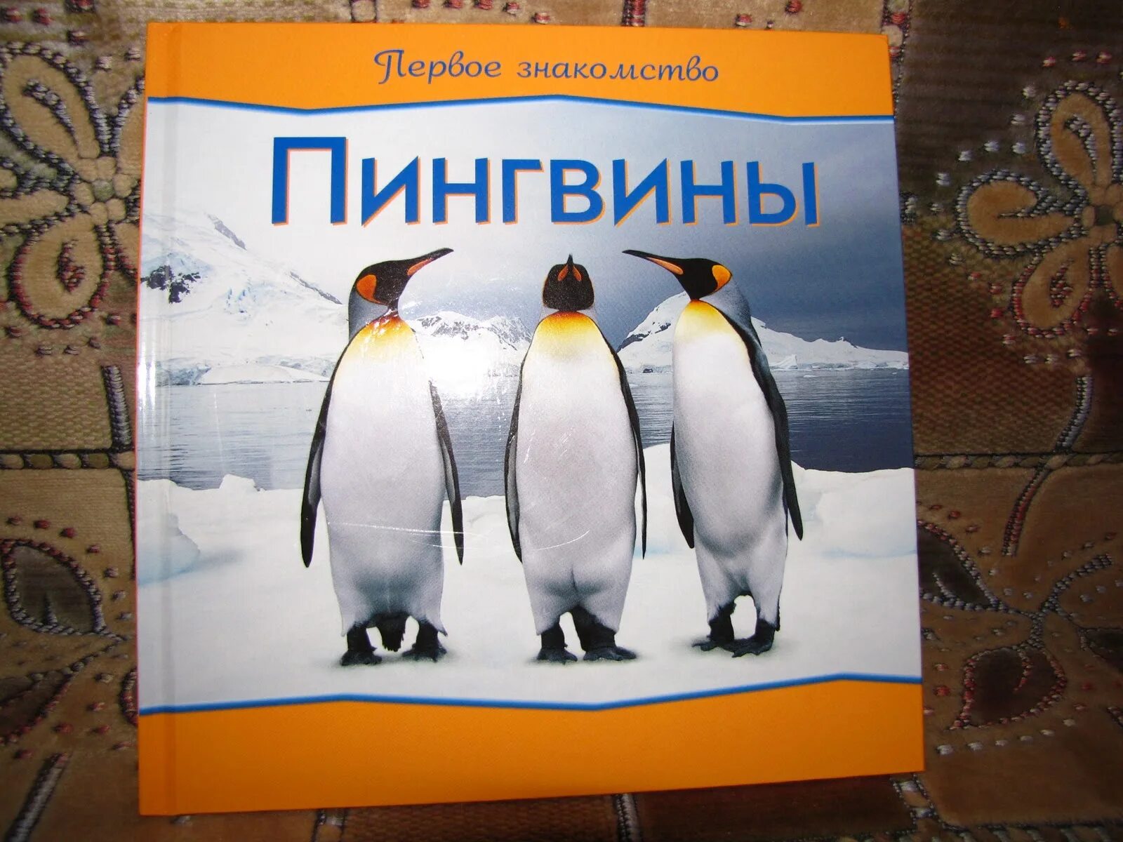 Детские книги про пингвинов. Энциклопедия про пингвинов. Пингвин энциклопедия для детей. Книги о пингвинах для детей Художественные. Занятие про пингвинов