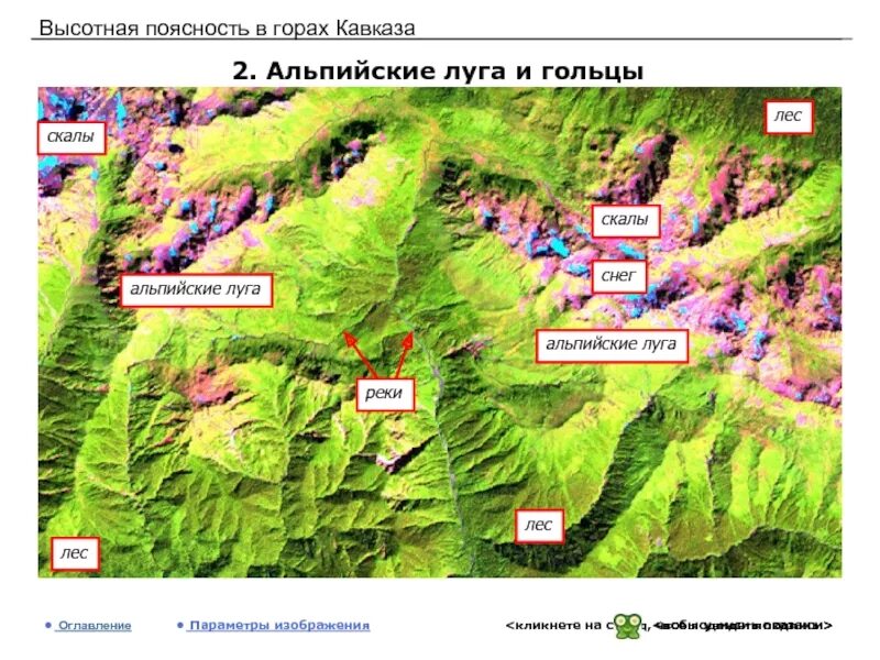 Альпийские Луга Кавказа карта. Карта ВЫСОТНОЙ поясности Кавказа. Высотная поясность в горах Кавказа. Высотная поясность Альпийские Луга. На какой высоте расположен субальпийский пояс кавказ