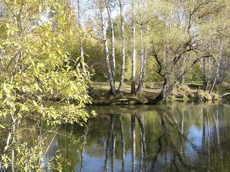 Кокши алтайский край. Село кокши алтайский край. Озеро кокша алтайский край. Погода село кокши алтайский край. Погода село кокши алтайский край.