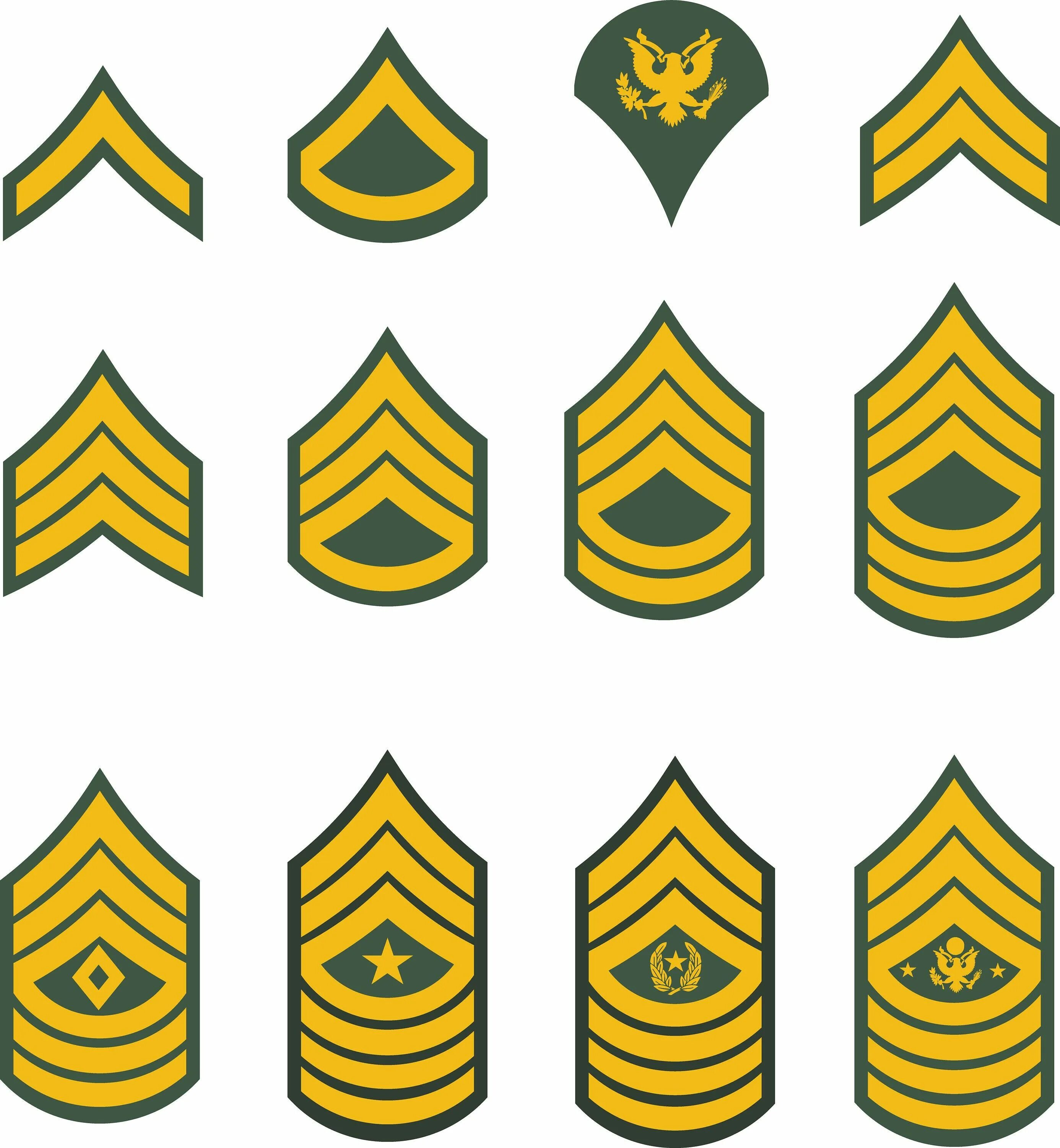 Military Rank Insignia. Us Army Ranks and Insignia. Звания США. Звания в Америке.