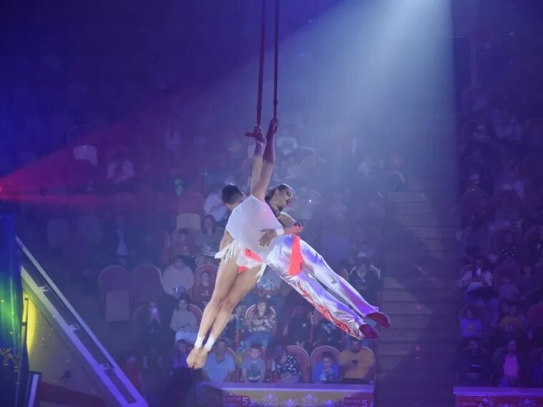 Воздушные гимнасты. Воздушная гимнастка в цирке.