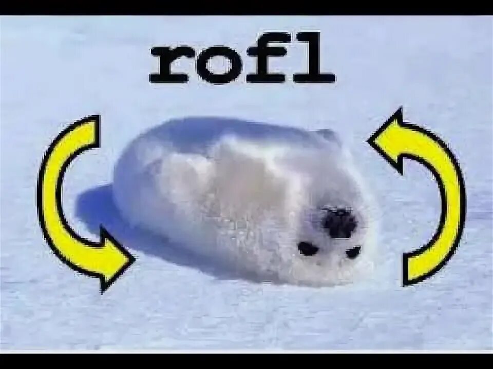 Надписи с рофлом. Рофл. Это просто рофл. Скала яйцо. Это просто рофл.