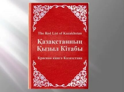 Ортағасырлық эротиканы онлайн көріңіз