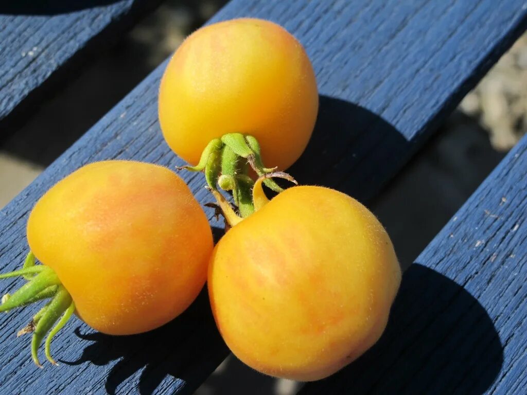 Peach отзывы