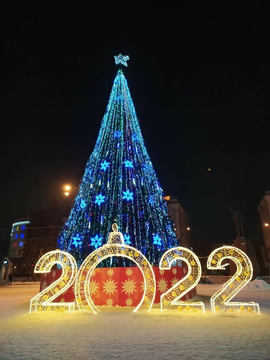 Какая елка в 2022. Елка в рязани 2022. батуми центральная елка 2022. новогодняя елка. новогодняя елка рязань 2022.
