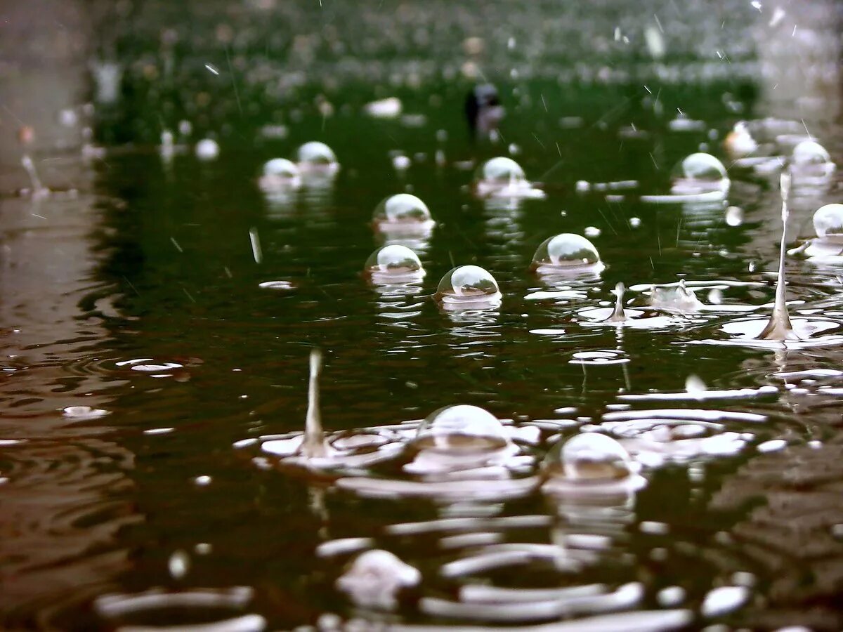 Капли дождя на воде. Дождь. Капли дождя. Дождь лужи. Дождь на воде.