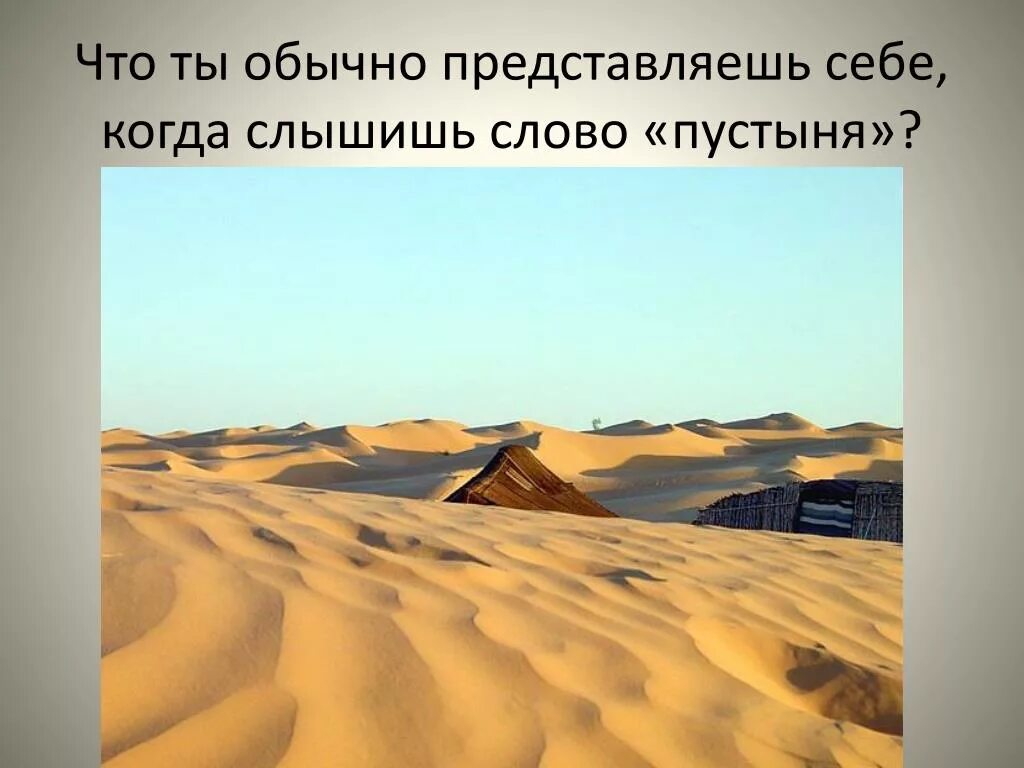 Текст песни над полями необъятными. Песни про пустыню. Песнь пустыни. Пустыня караван барханы. Человек в пустыне.