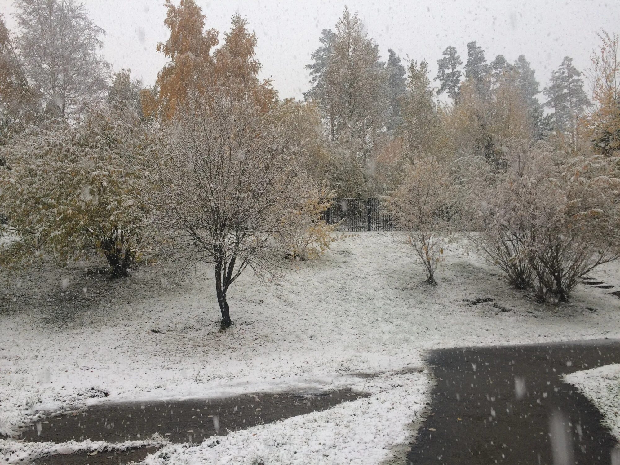 Погодные условия весной. Снег в октябре. Снегопад в марте Иркутск. Мокрый снег природа. Март дождь со снегом.