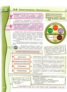 Актив курс