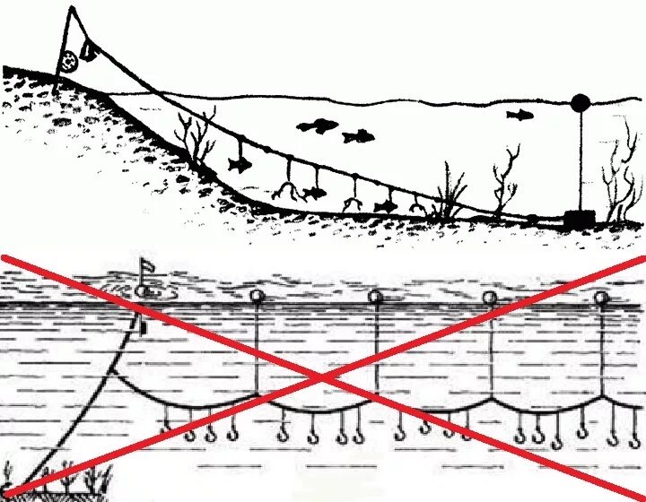 Рыболовная снасть перемет. Рыбацкая снасть перемет. Перемет схема снасти. Перемёты для ловли рыбы на реке. Можно ли ставить сети