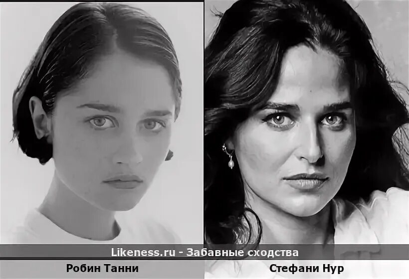 Стефане нур. Стефани нур львицы. Стефане нур. Зои салдана спецназ львица. Стефани нур львицы.