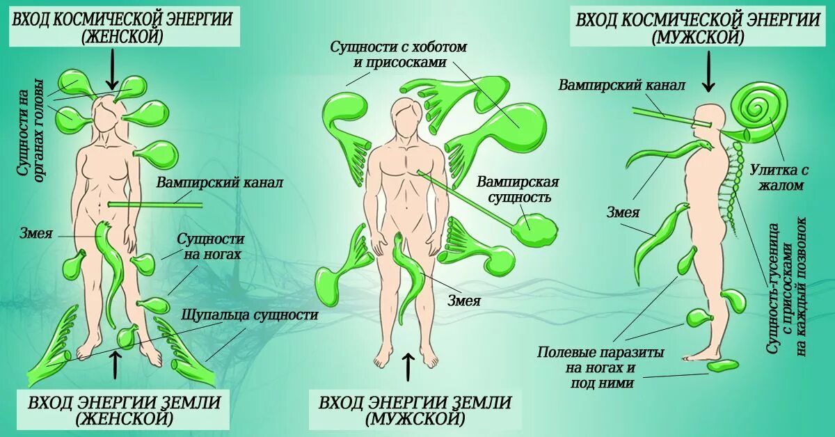 Как определить вид сущности. Энергетические сущности. энергетические паразиты. сущности. лярвы подселенцы астральные сущности.