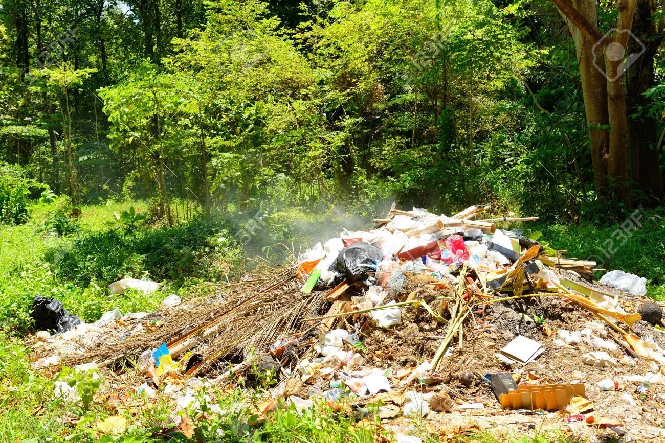 Загрязнение лесов. Свалка мусора в лесу. Мусор в лесу. Мусор в лесу экология. Загрязнение лесов.