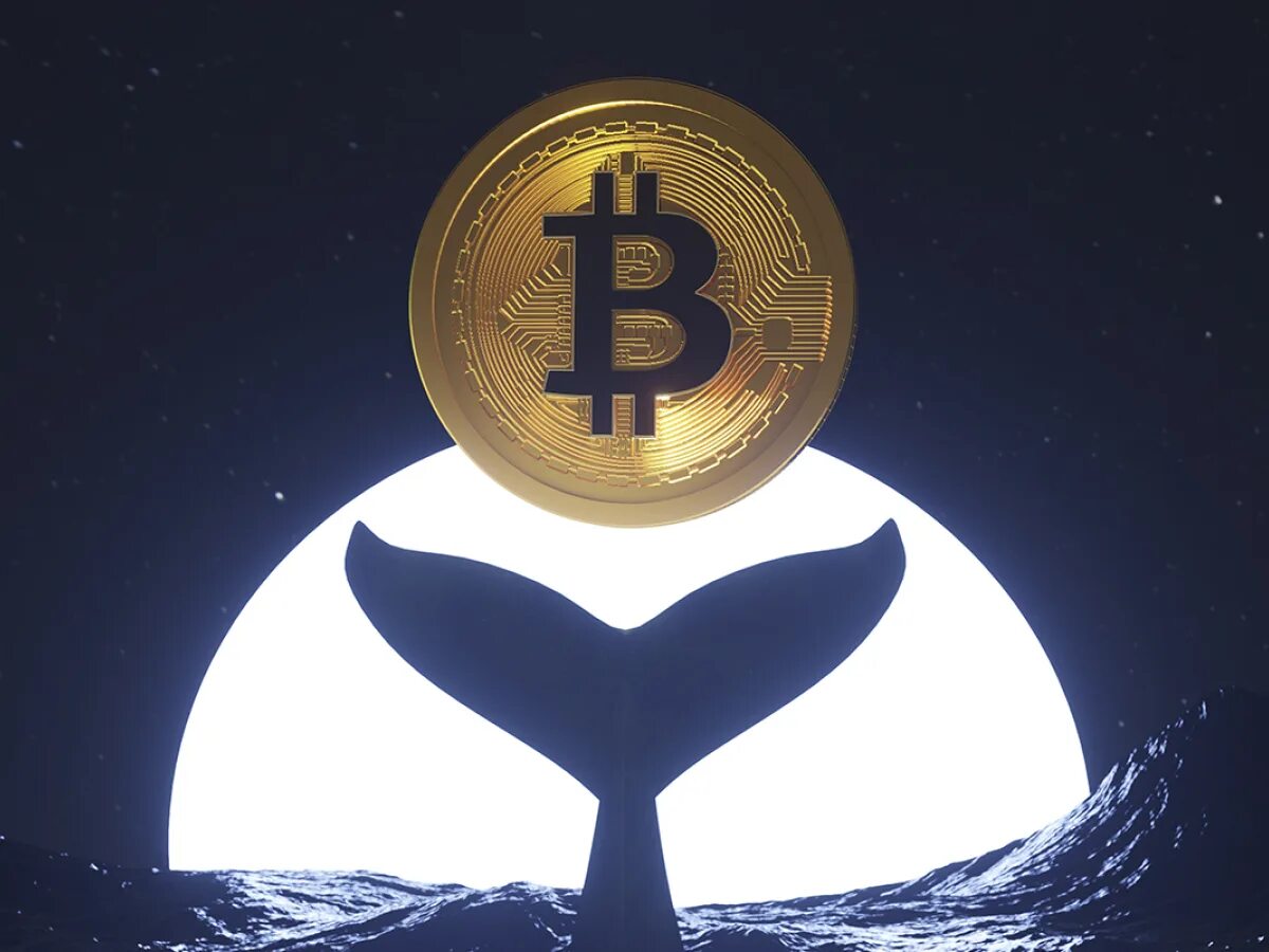 Top 10 bitcoin whales part